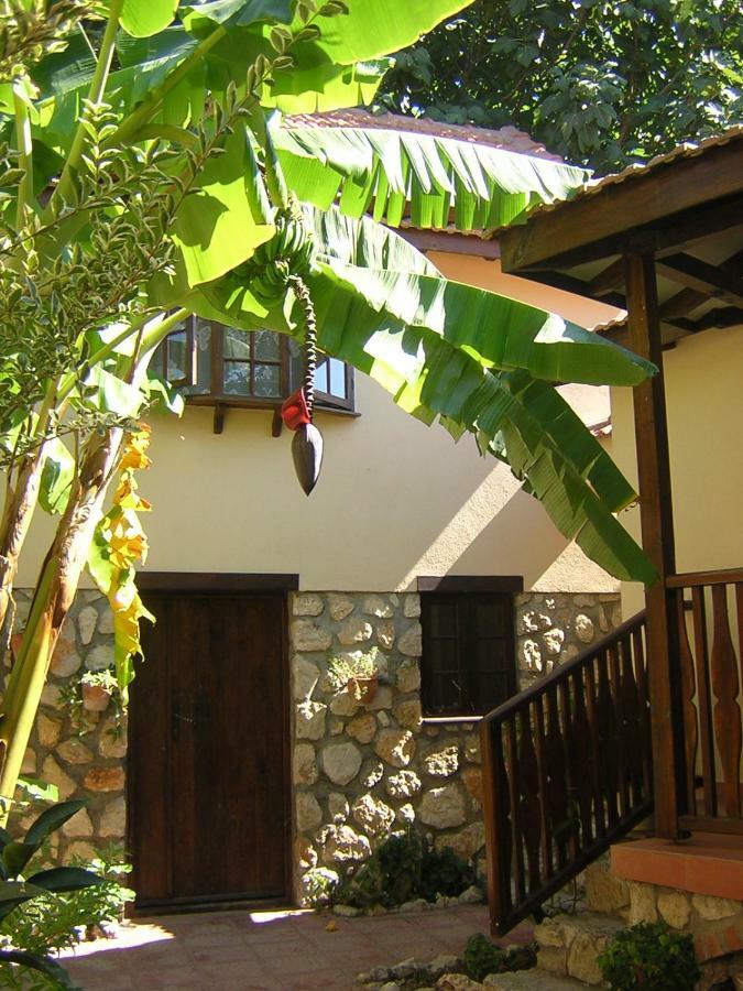 Mountain Lodge Hotel Doger Koyu Bagian luar foto